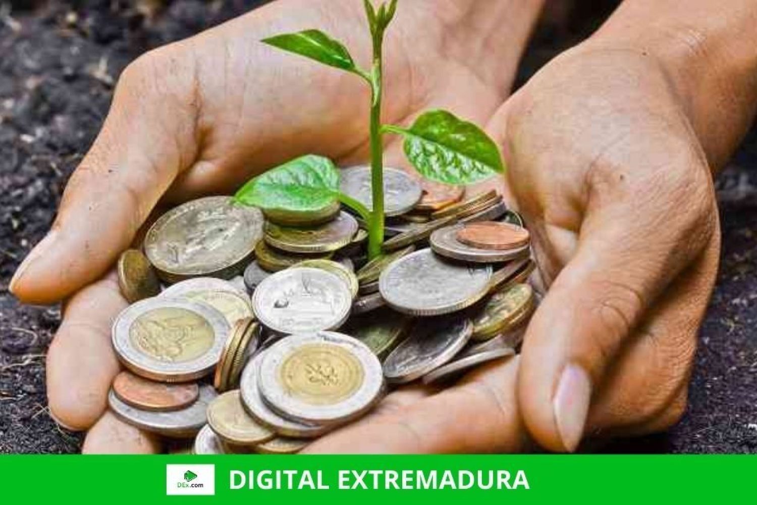 Publicada la convocatoria de ayudas para el fomento y mantenimiento del empleo en empresas de economía social