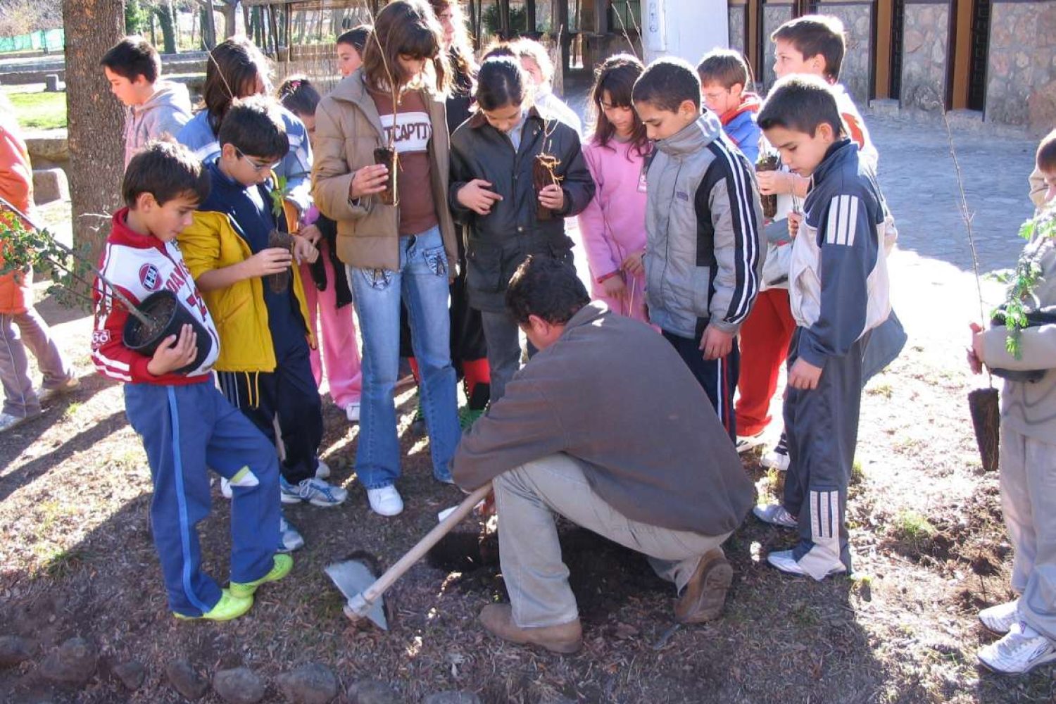 Reforestacion