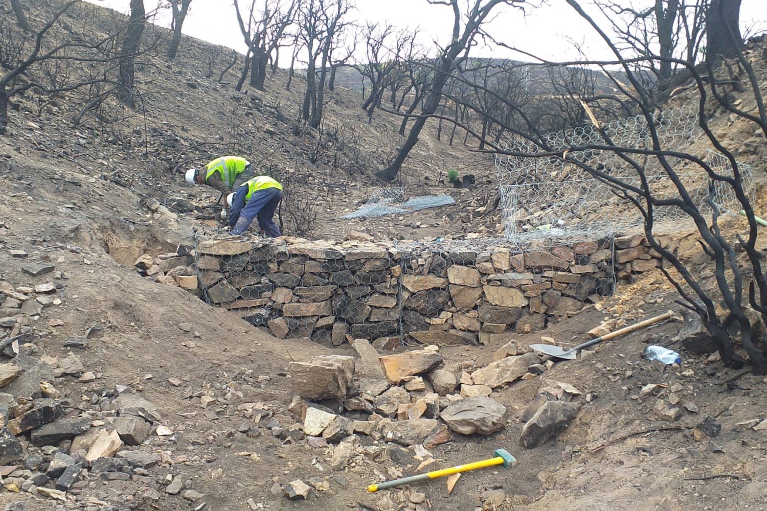 Restauracion forestal Miravete -fajinas piedras