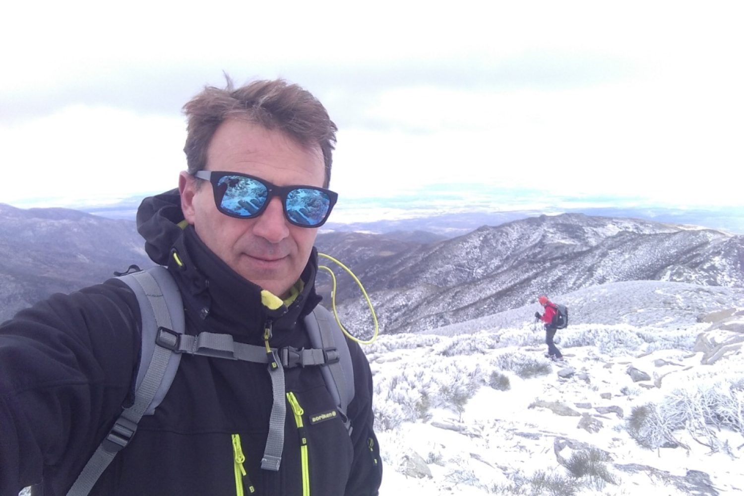 Salva-en-la-nieve