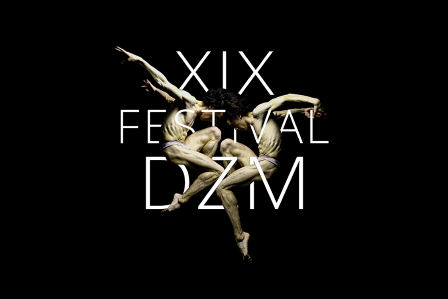 Festival DZM