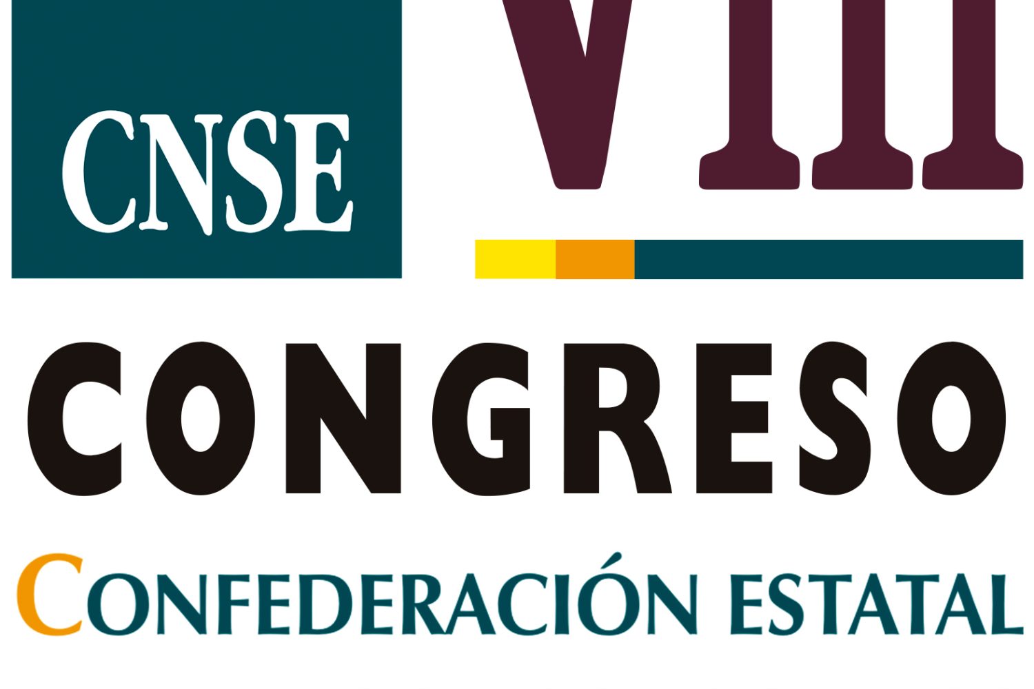 VIII Congreso CNSE