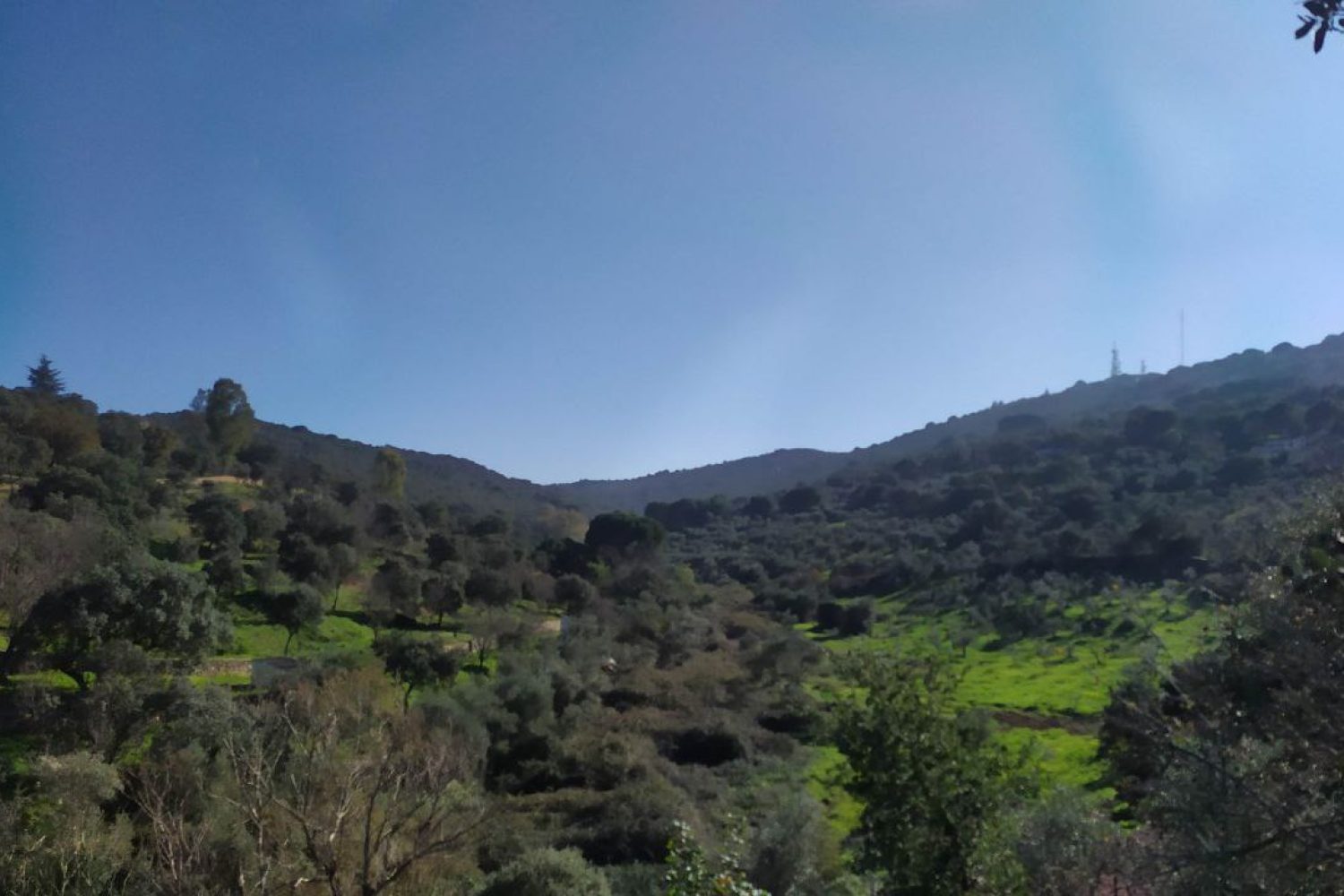 Valdeflores