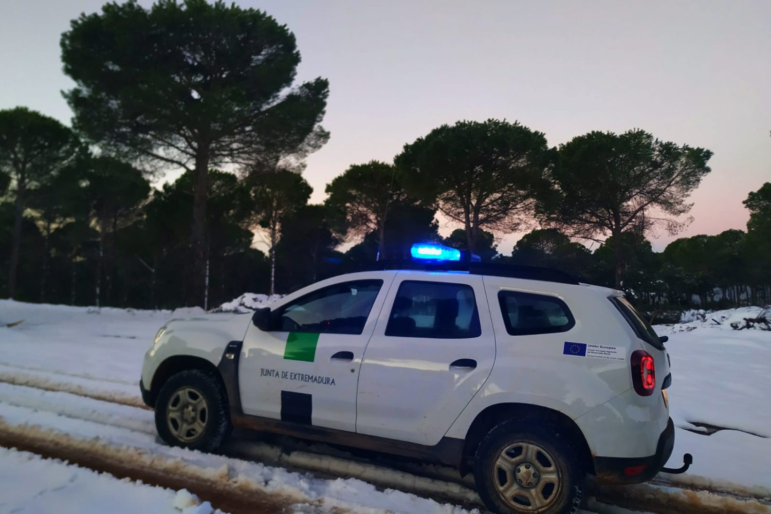 Vehículo Agentes del Medio Natural con señalización V1