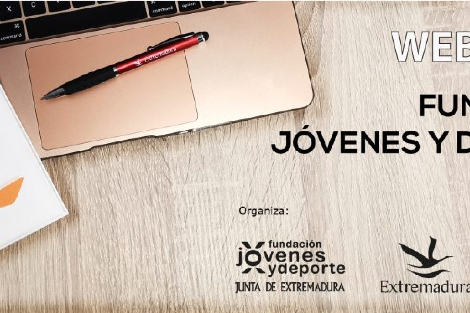 WEBINARS_FJYD