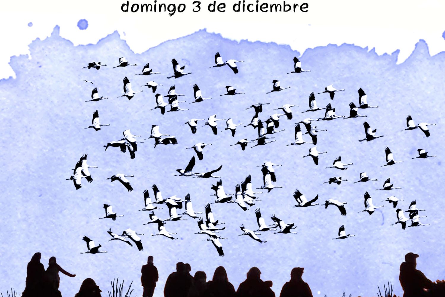 XXXII DIA DE LAS GRULLAS