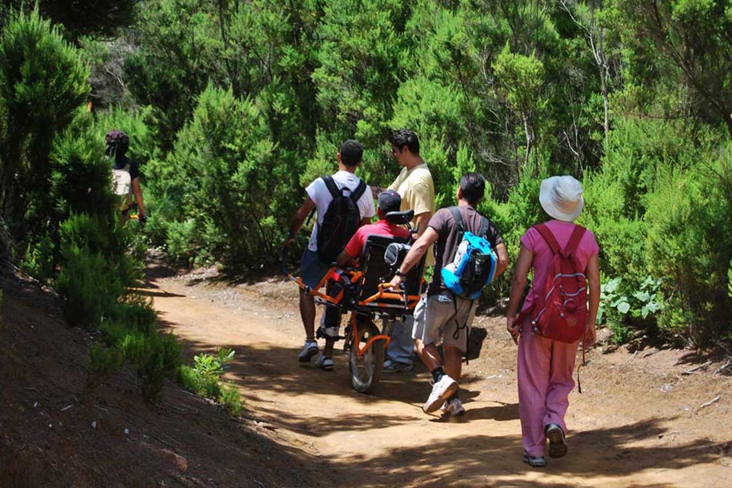 accesibilidad
