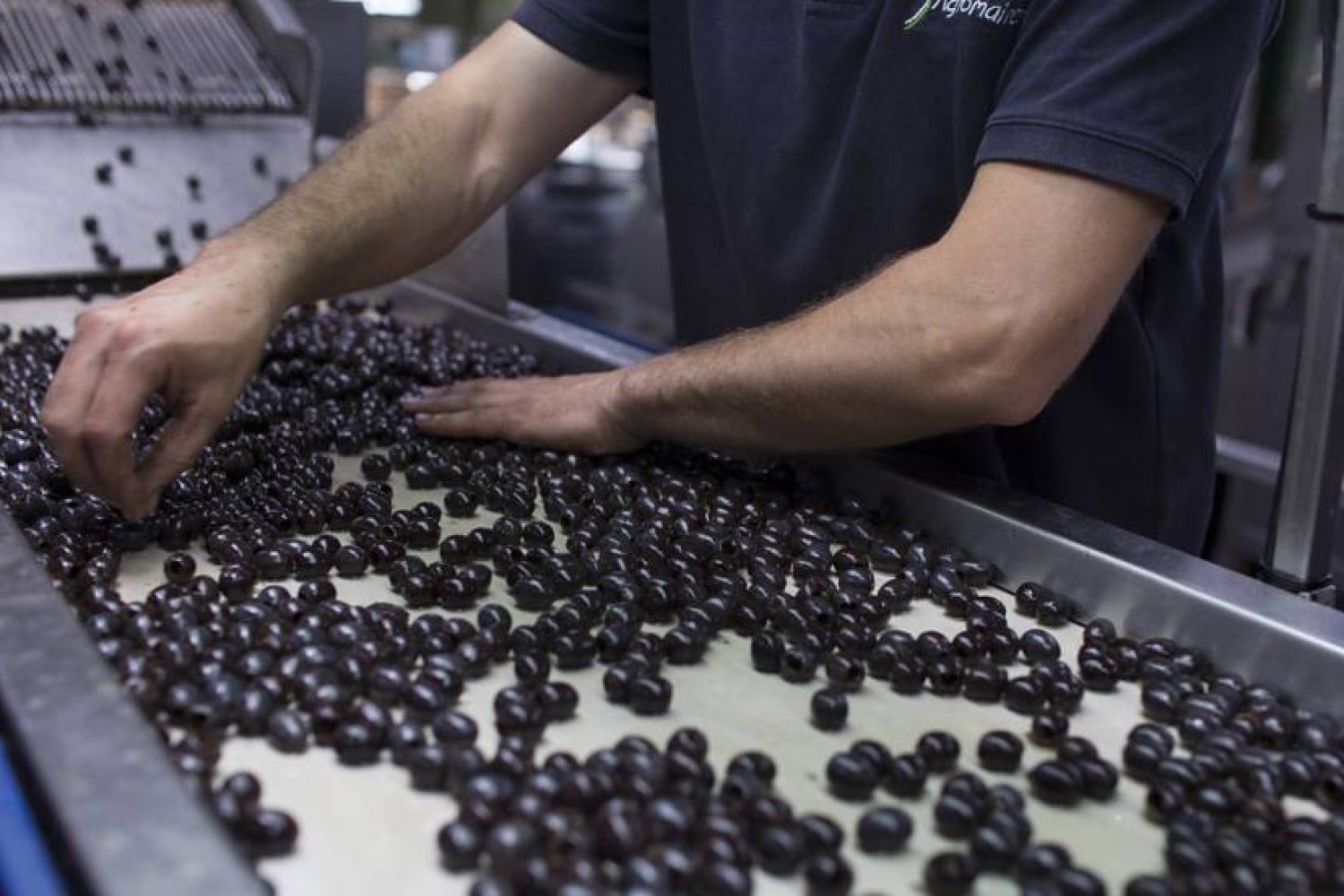 aceituna negra