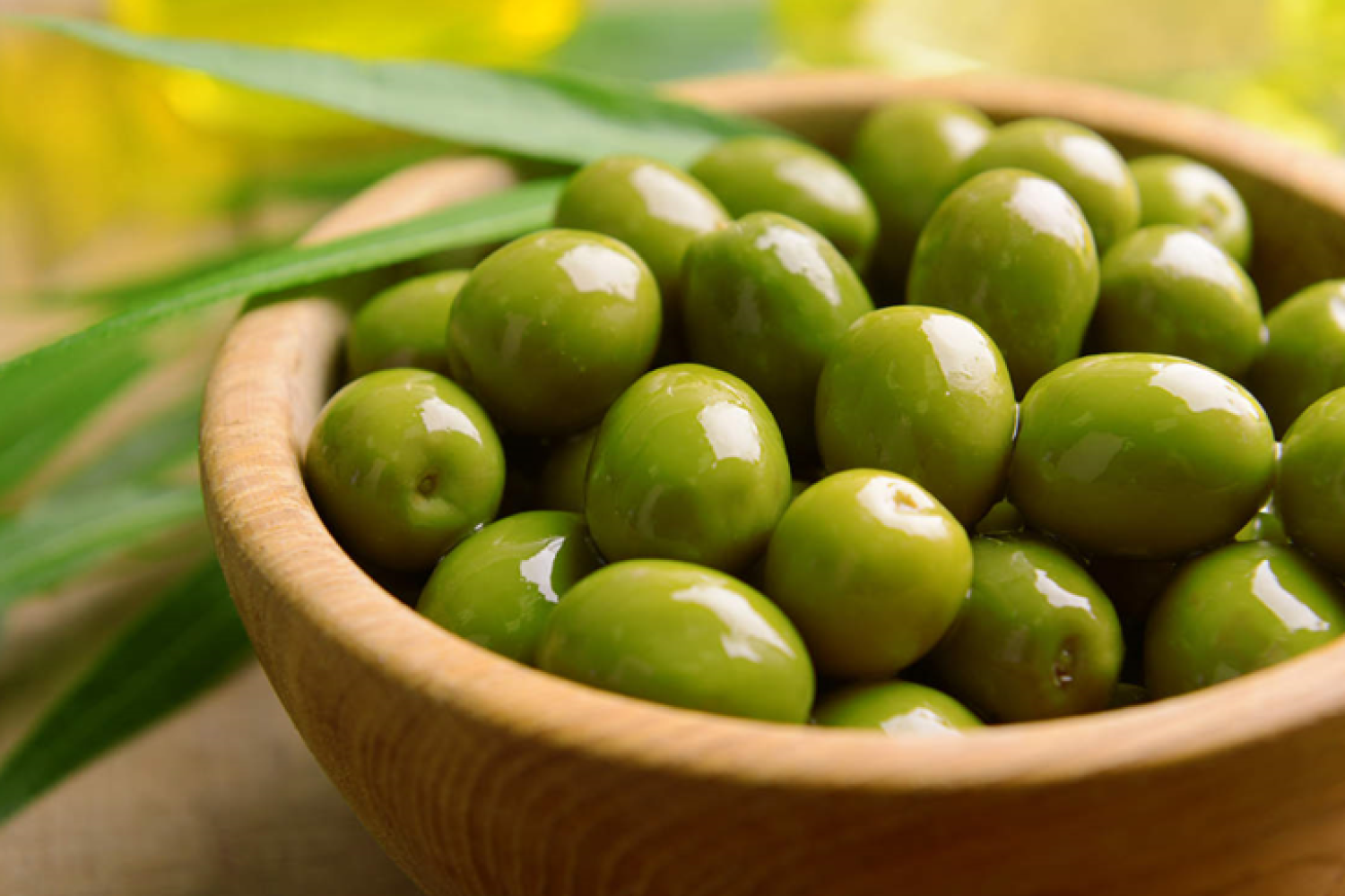 aceituna