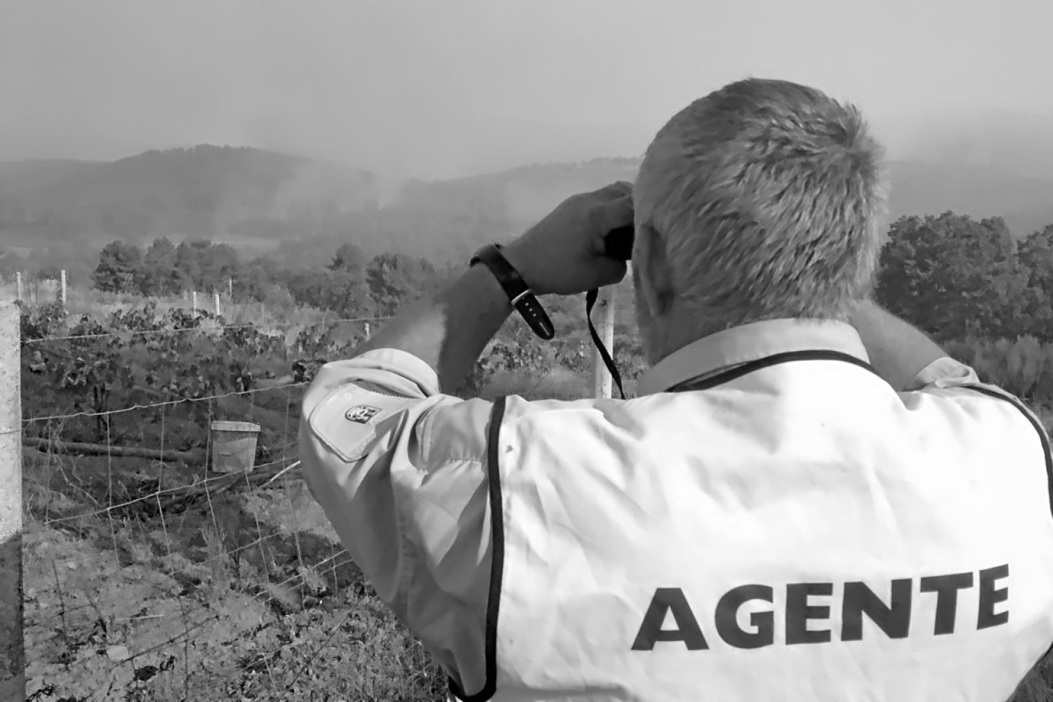 agente medio natural