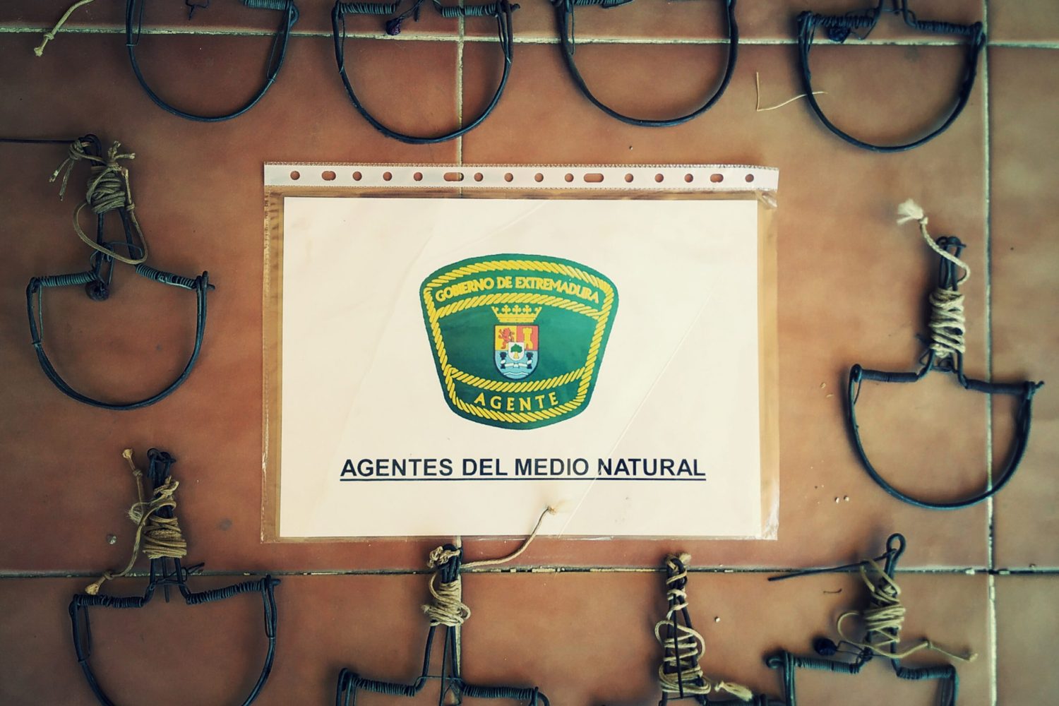 agente medio natural