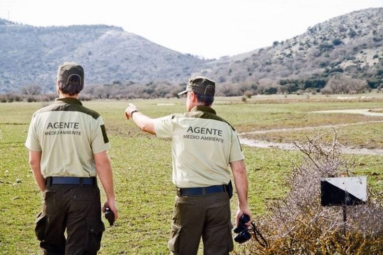 agentes medio ambiente