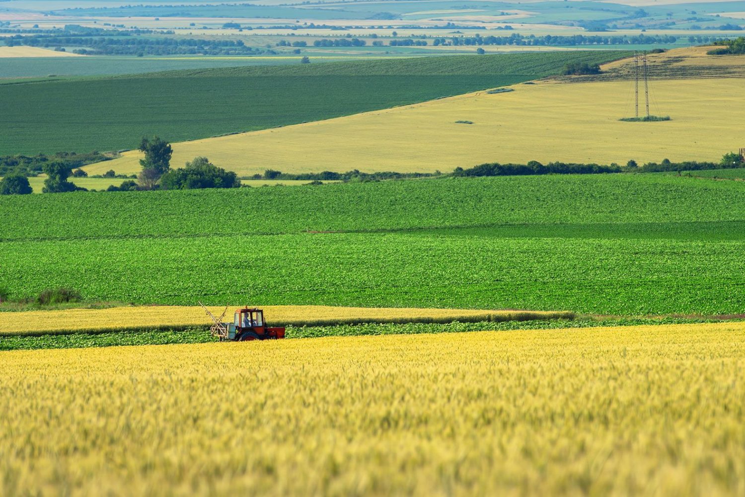 agricultura-cambio-climatico