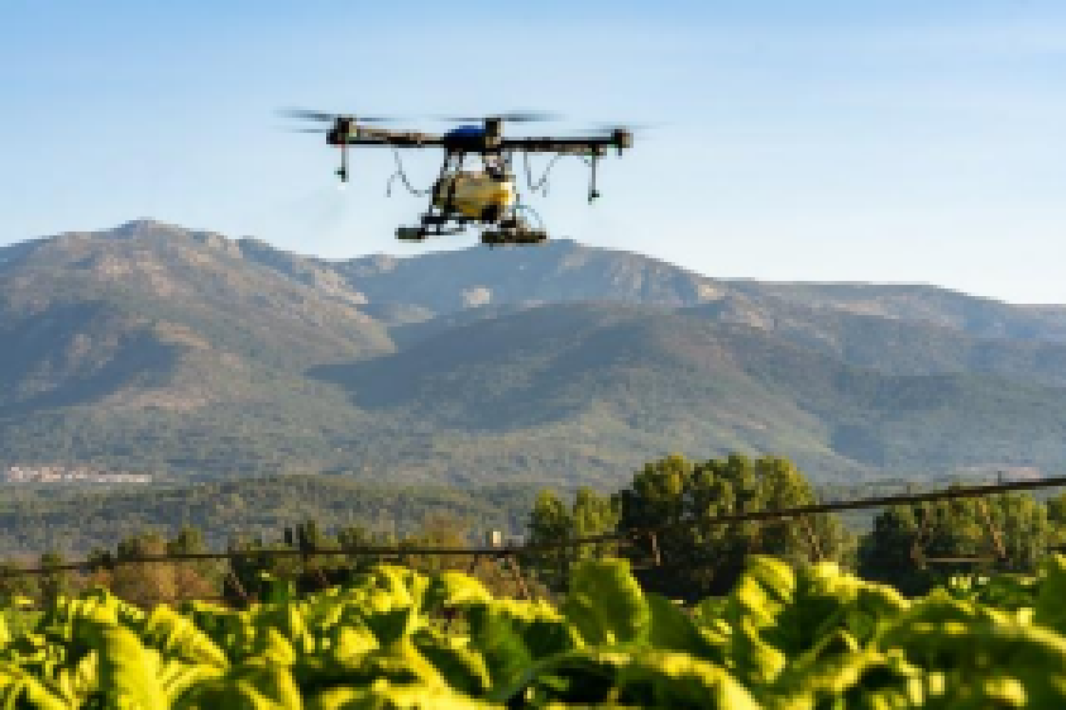 agro drones