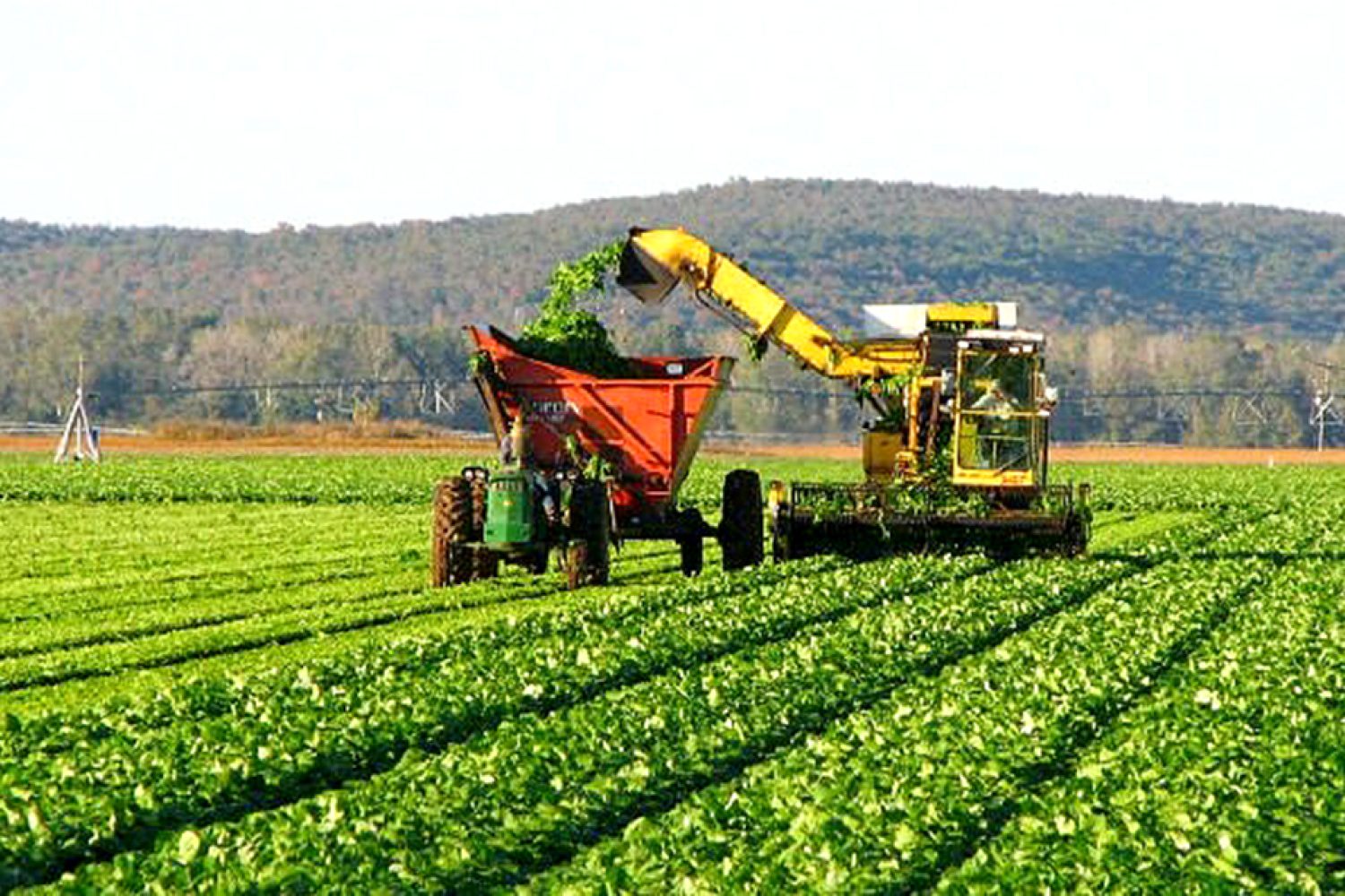 agro