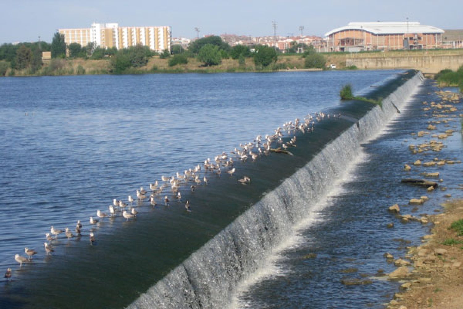 agua guadiana