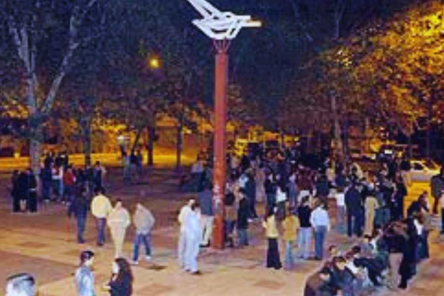 albatros madrila