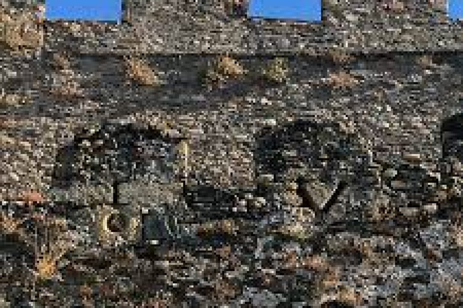 almenas