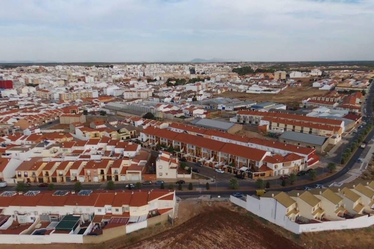 Vista panorámica de Alemndralejo