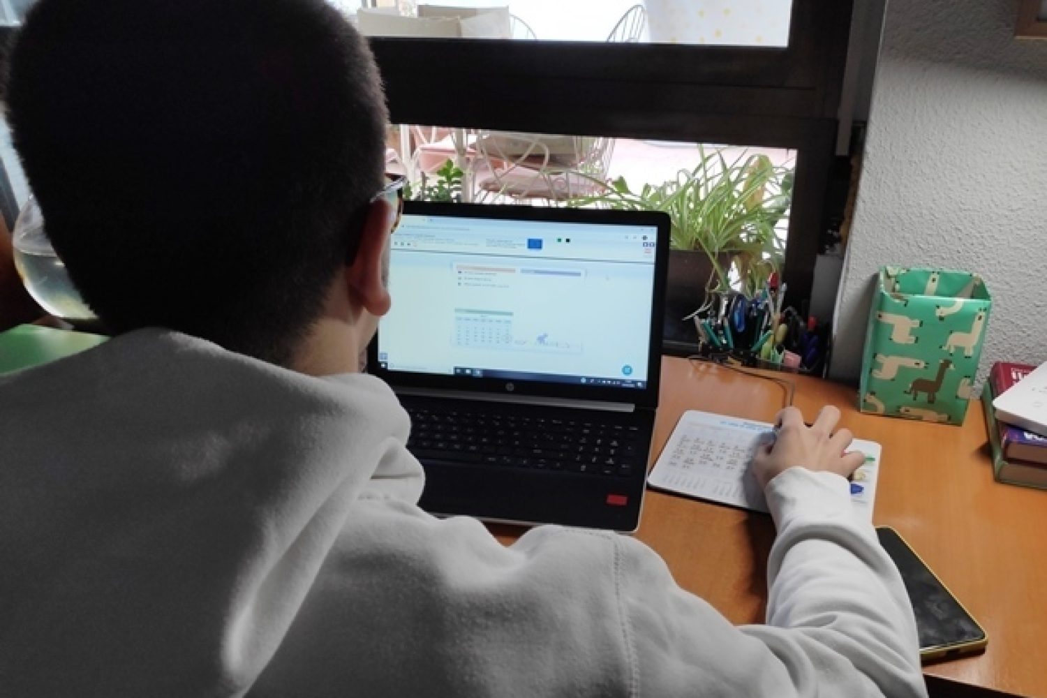 alumno on line