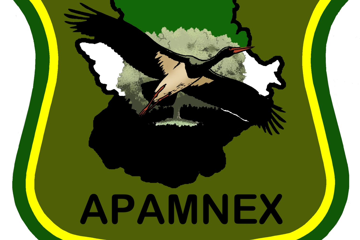 apamnex