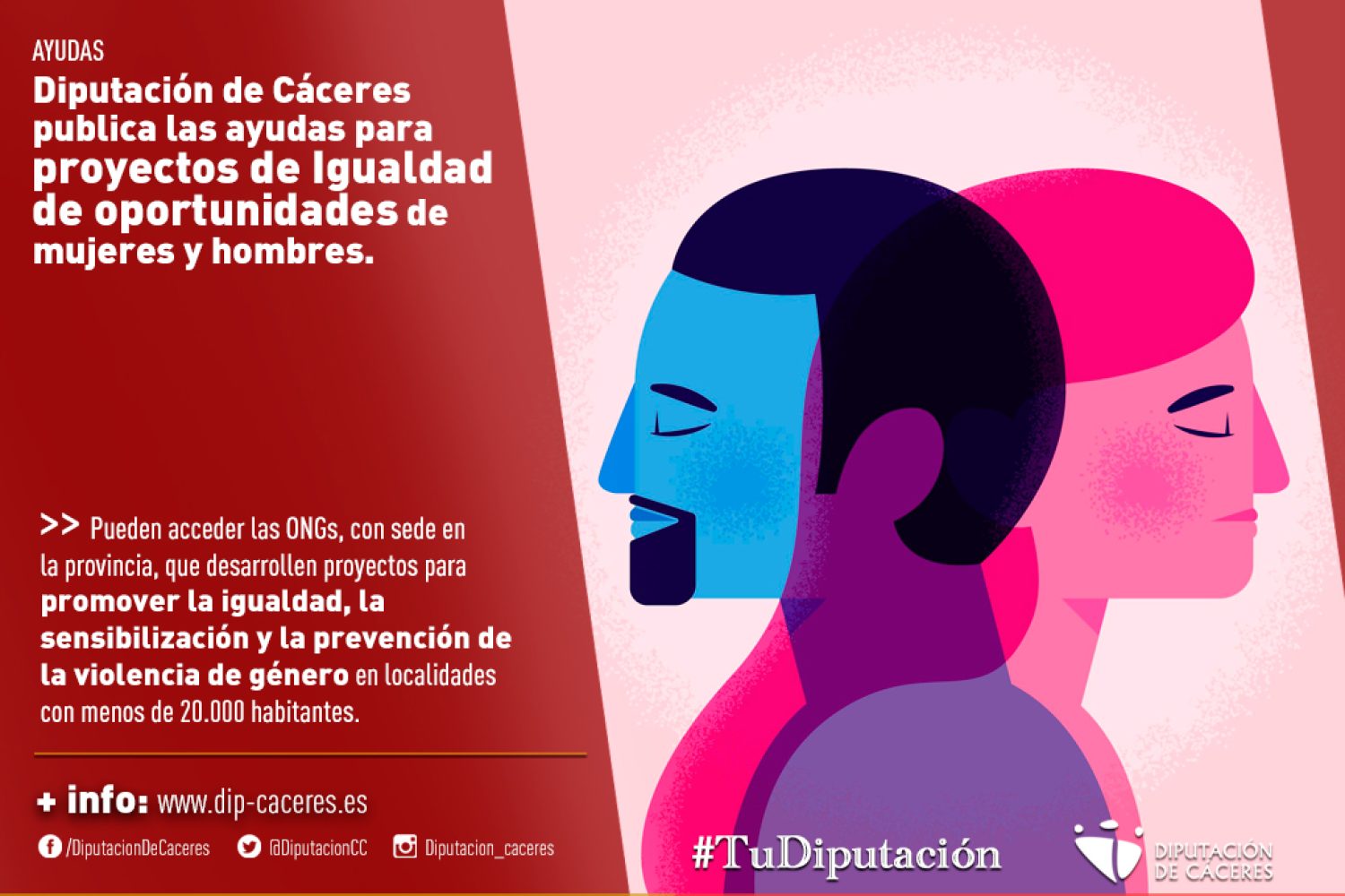 ayudas-a-ong-para-proyectos-de-igualdad