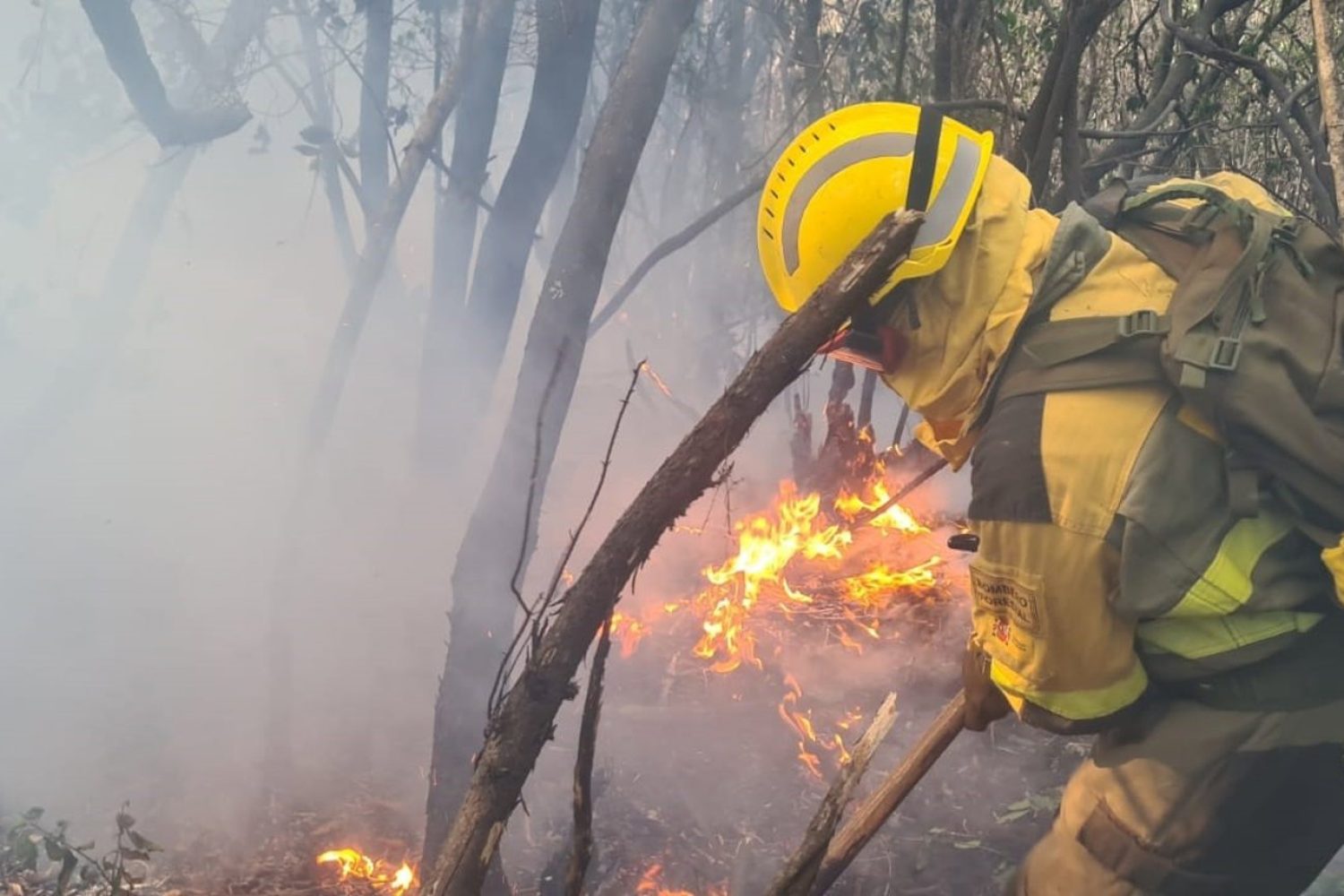 Las brigadas de refuerzo de incendios forestales (BRIF) participarán en labores preventivas durante el invierno