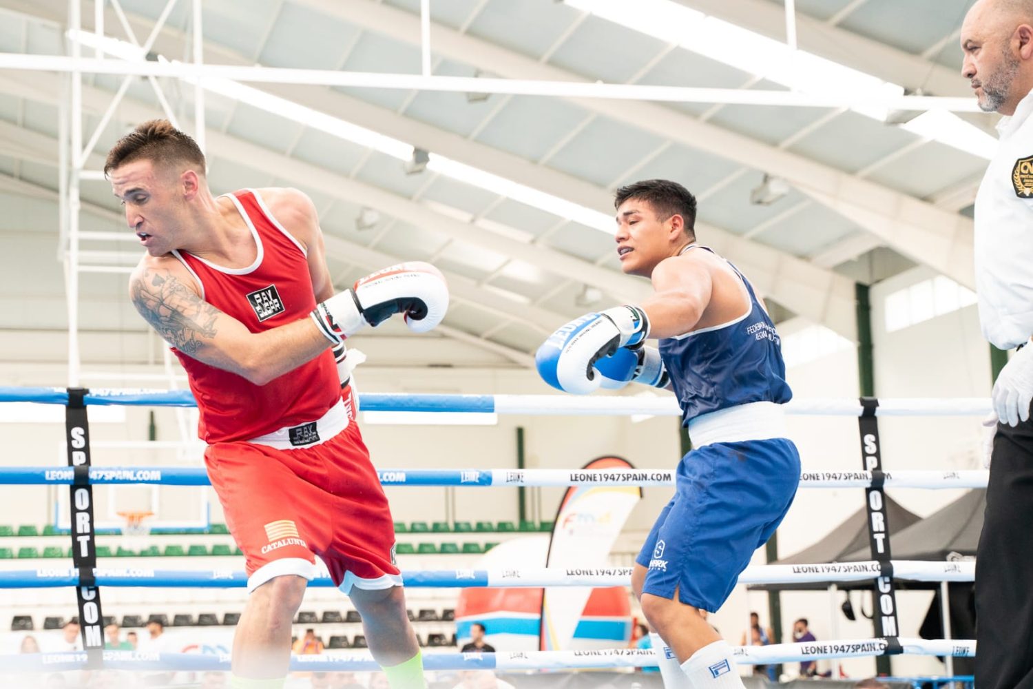boxeo