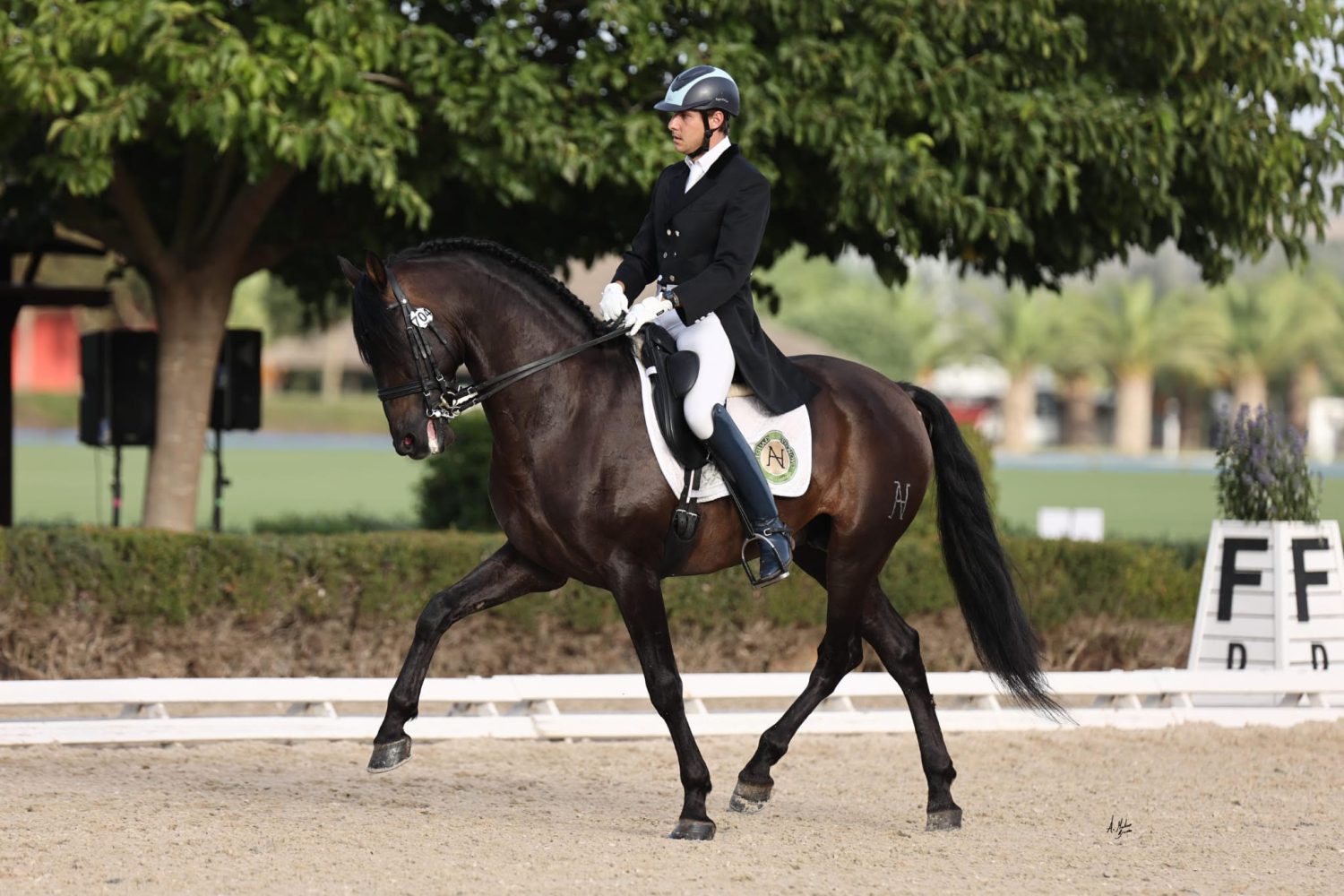 caballo