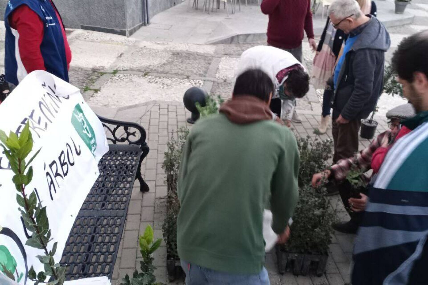 cadac extremeño un arbol