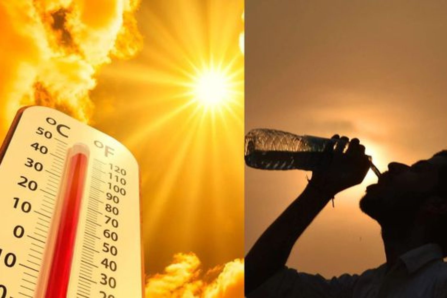 calor