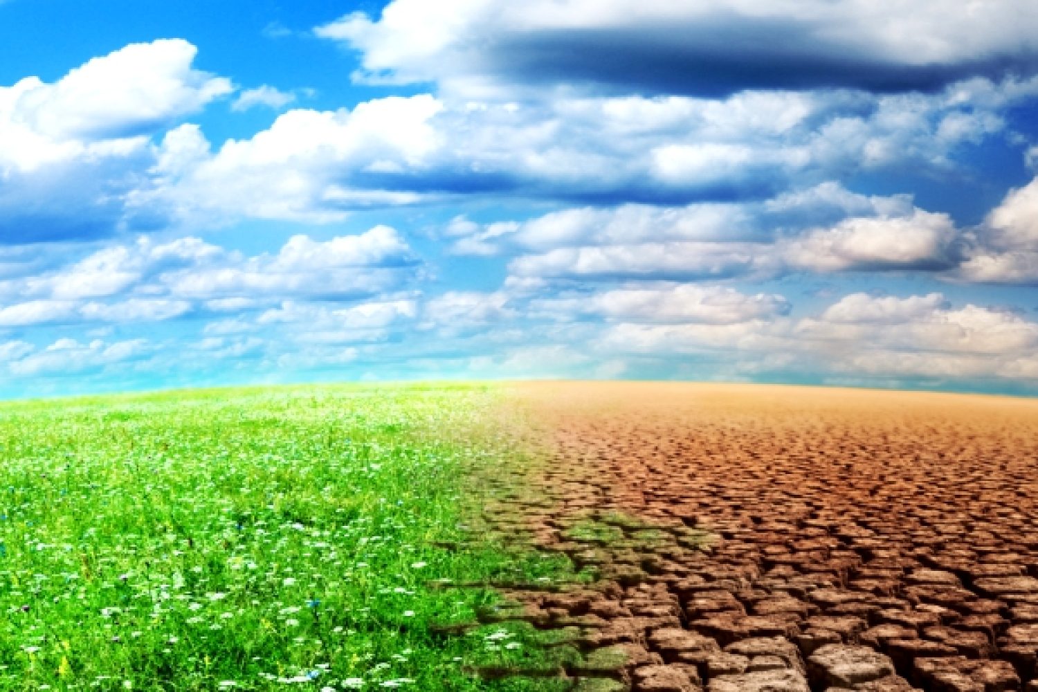 cambio climatico