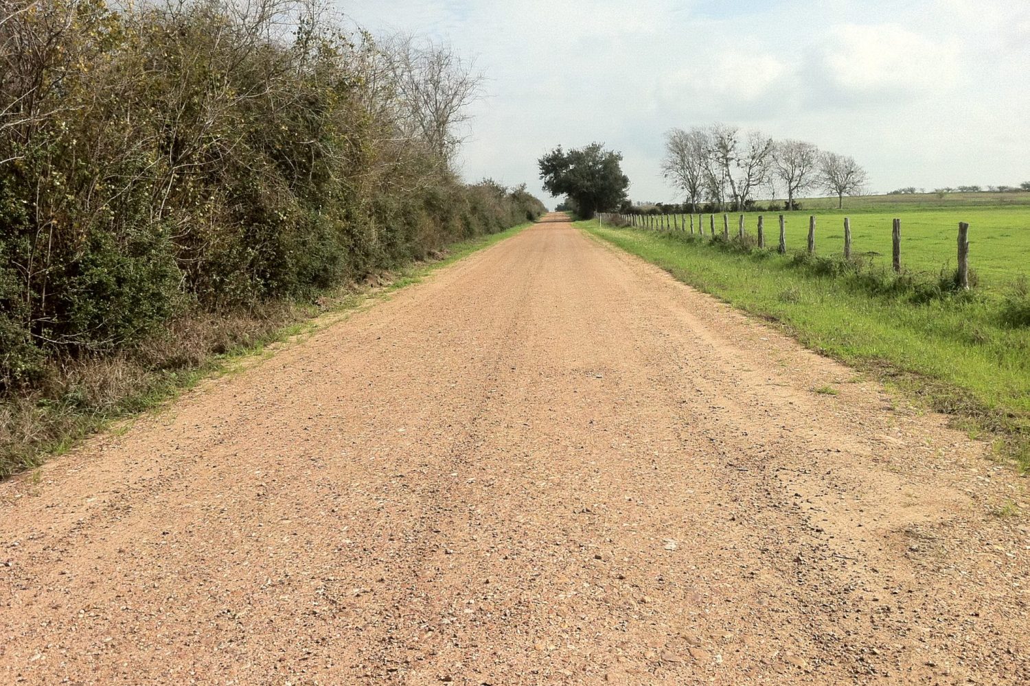 camino rural