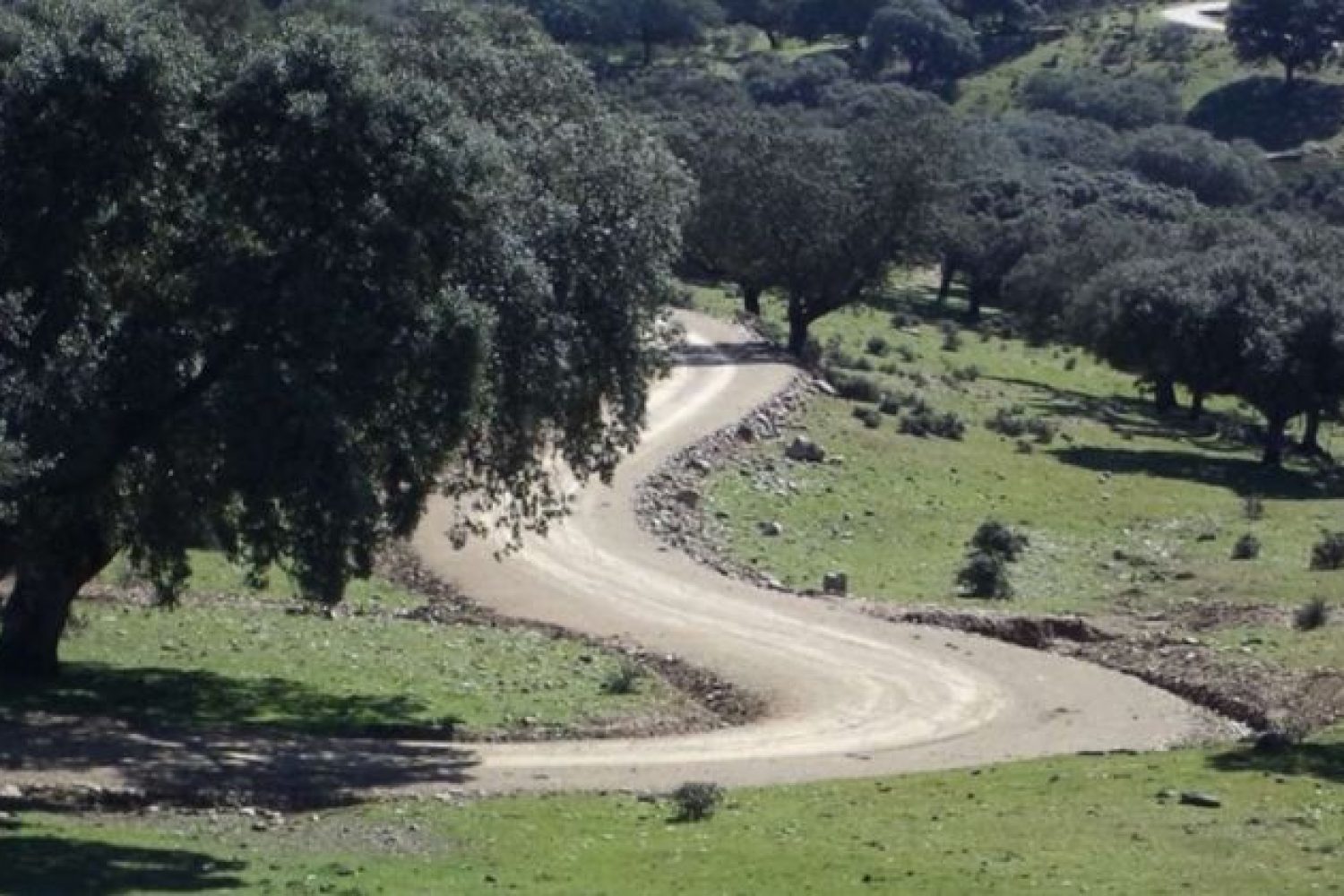 camino rural