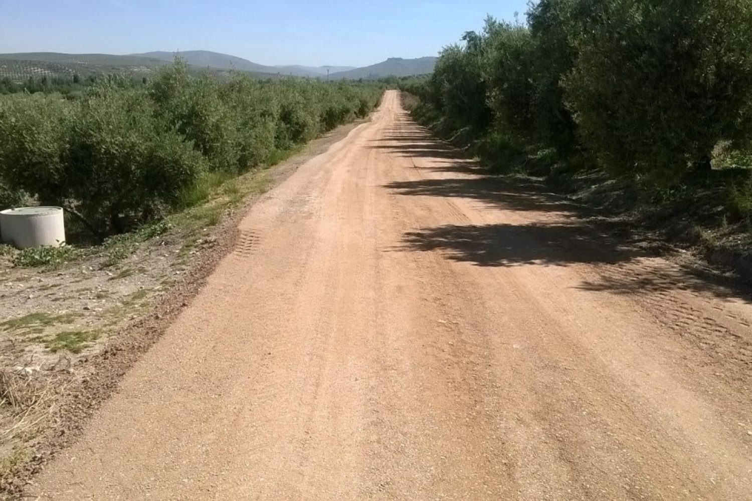 camino rural