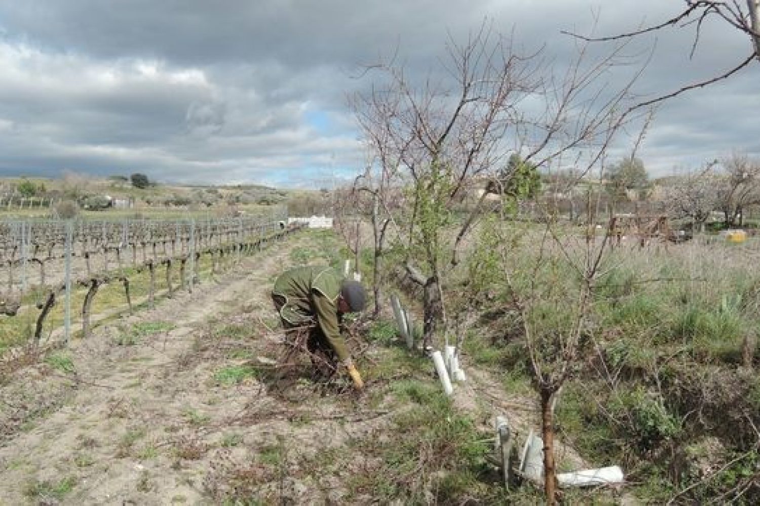 campo sequia