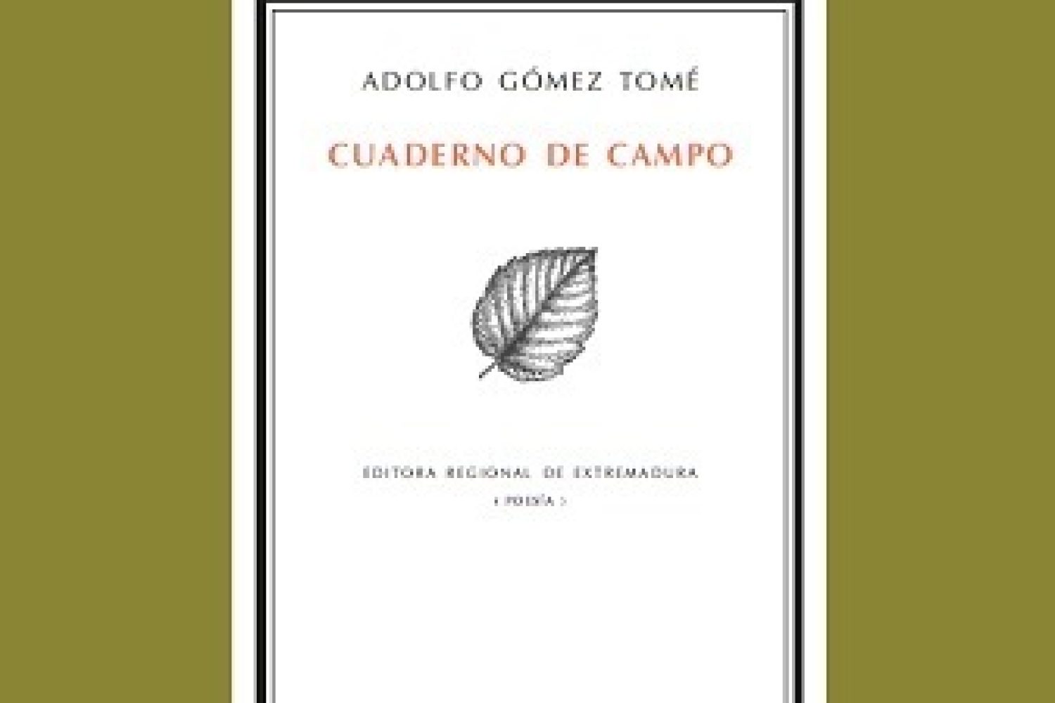 campo_adolfo
