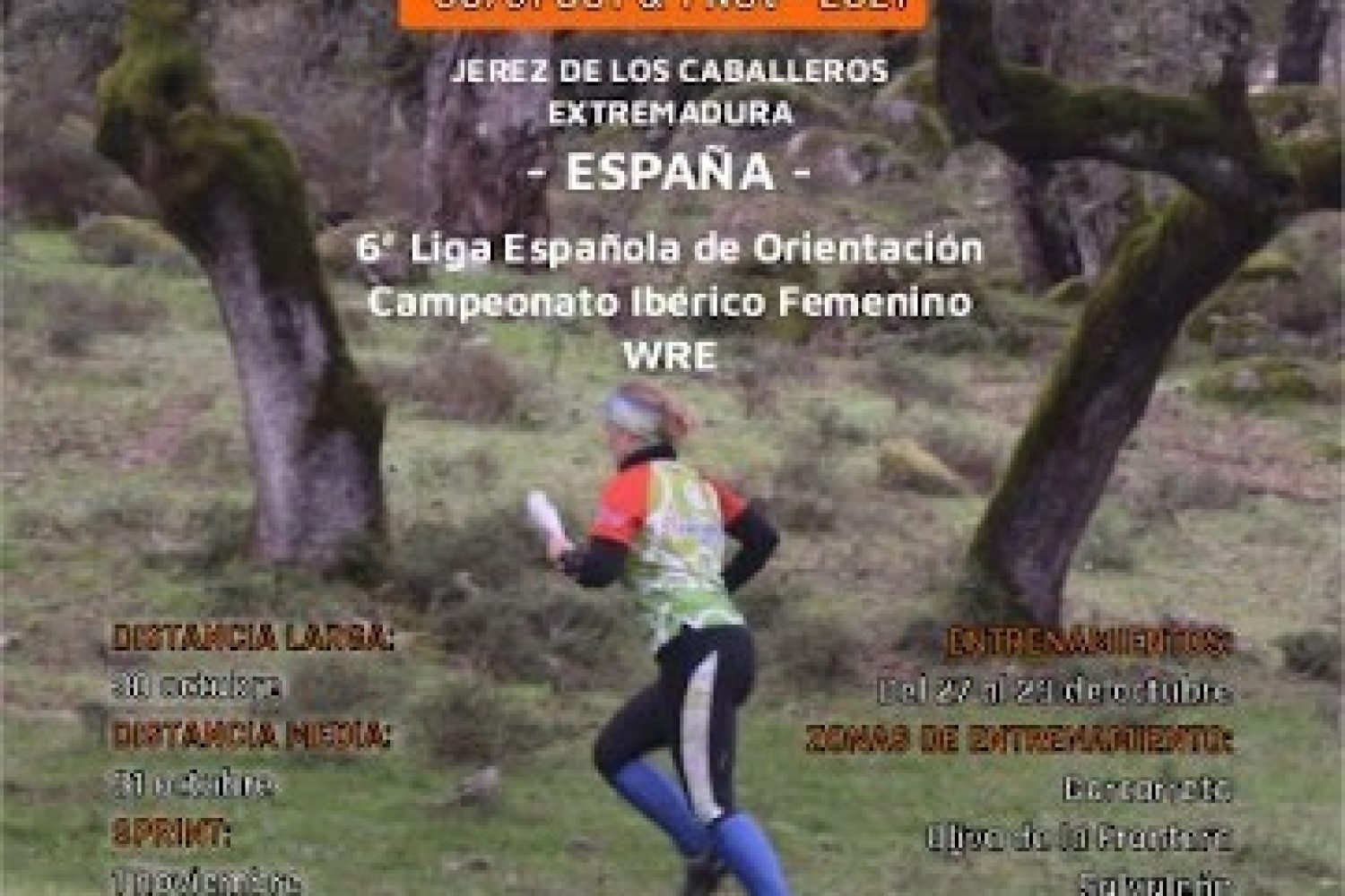 cartel