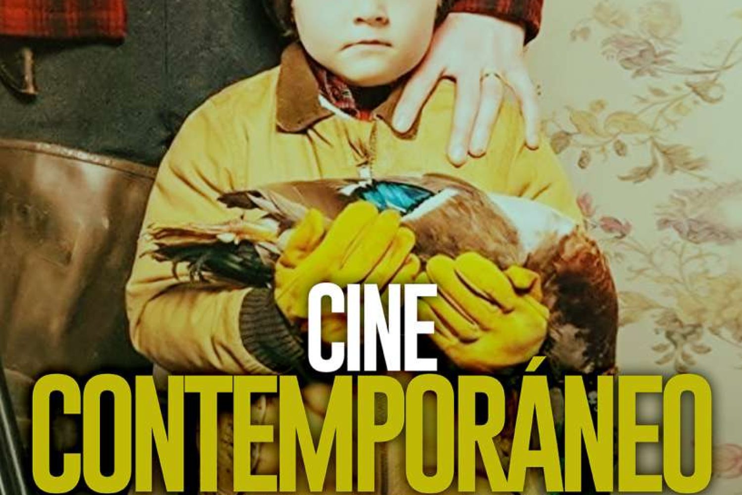 cartel cine