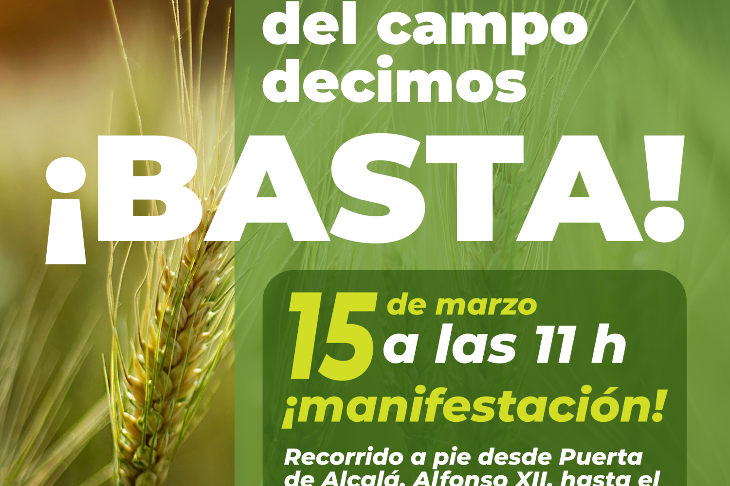 cartel manifa campo