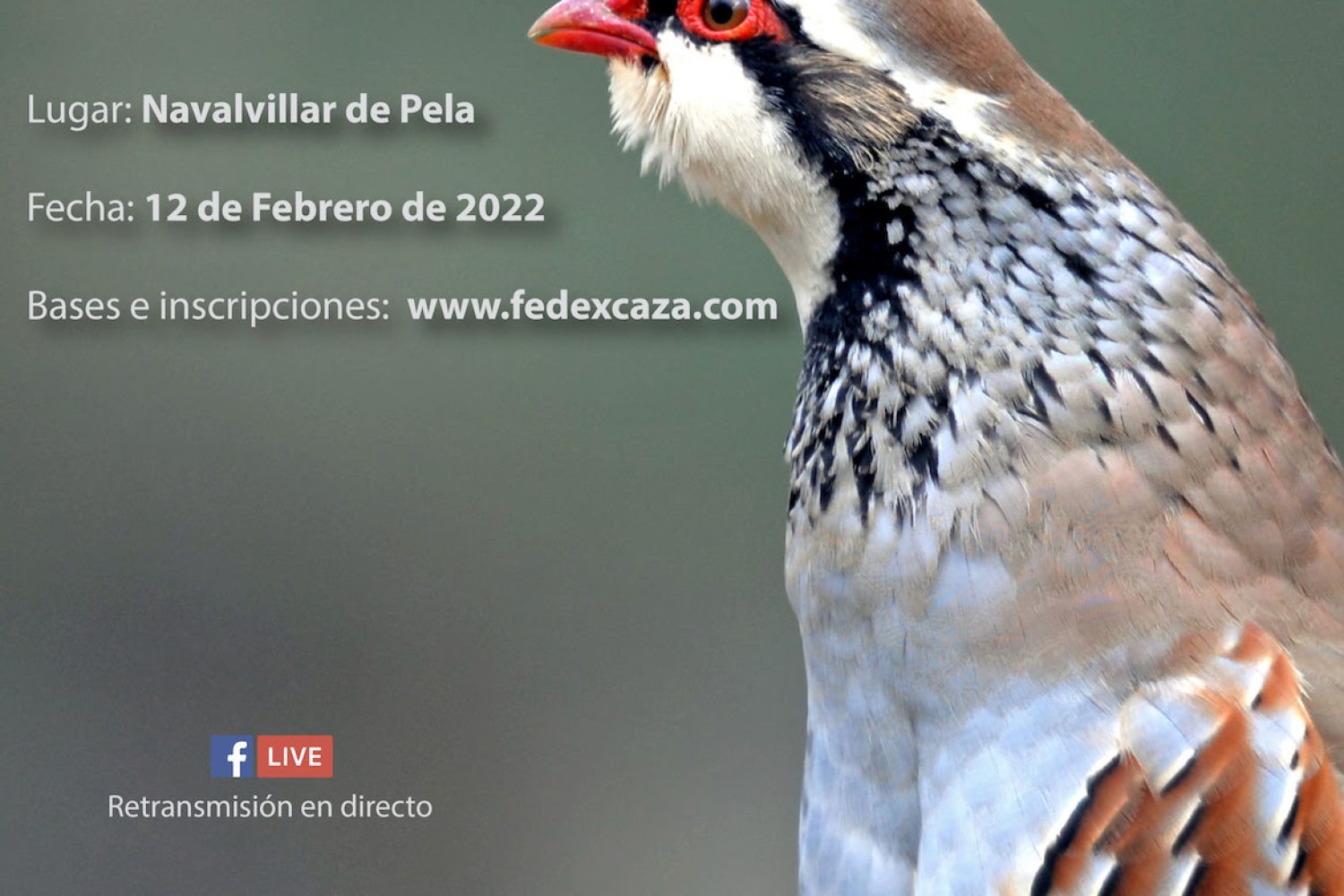 cartel perdiz
