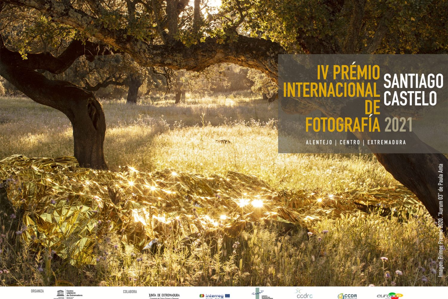 cartel premio