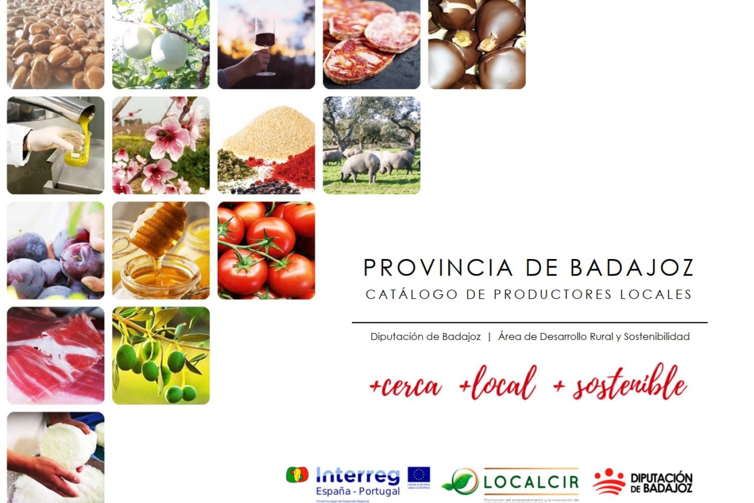 catalogo