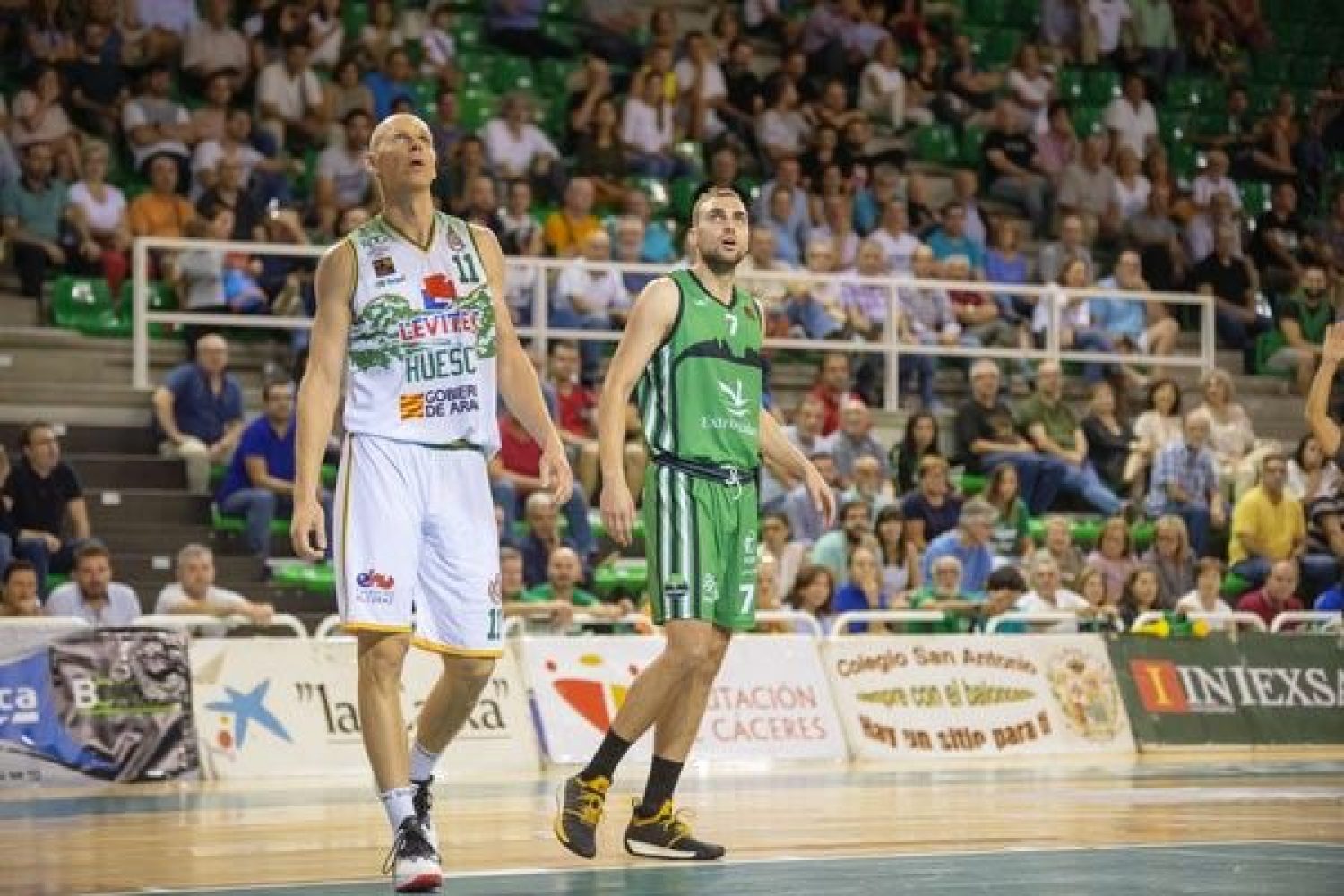 cc basket
