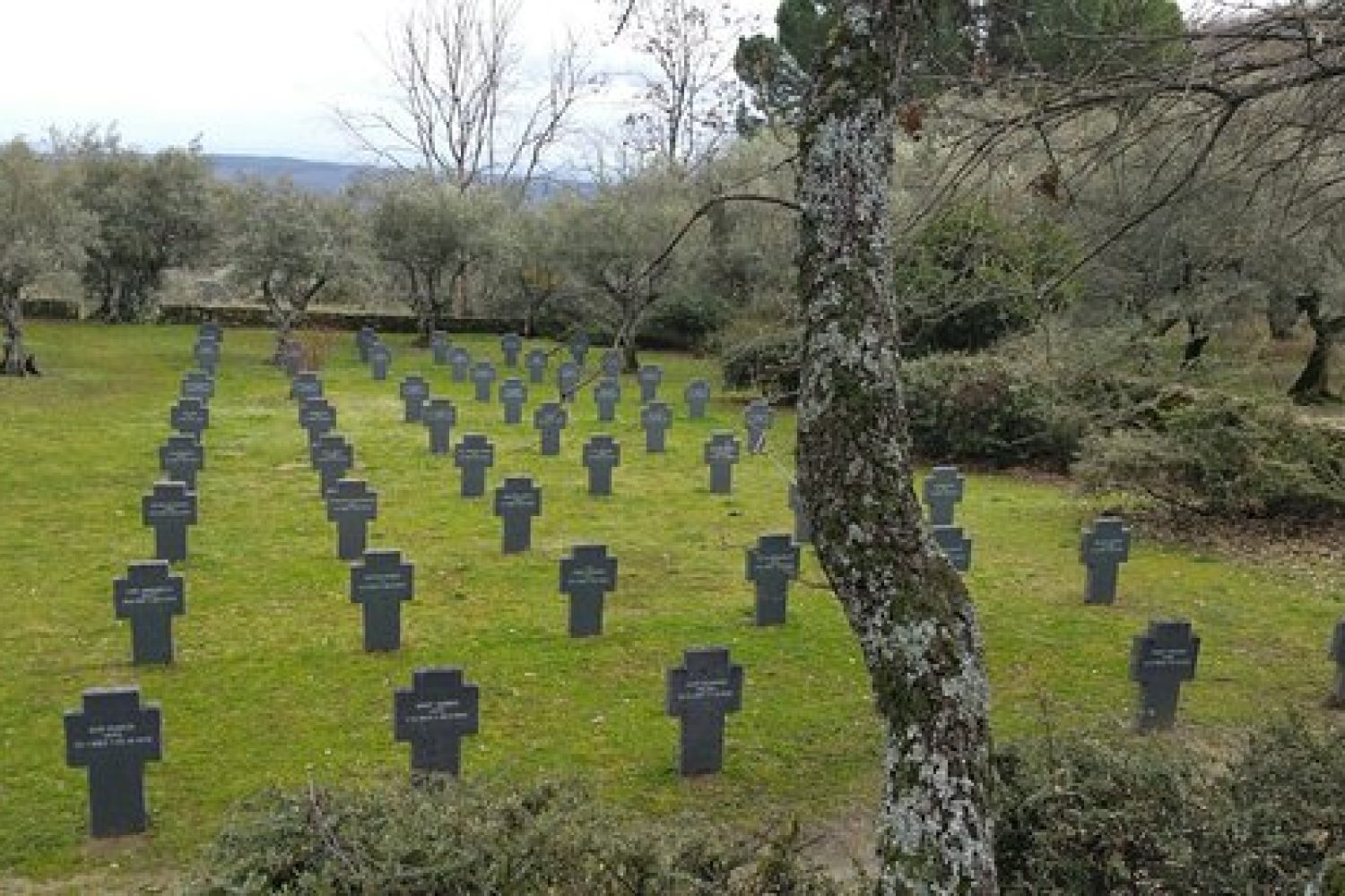 cementerio aleman 2