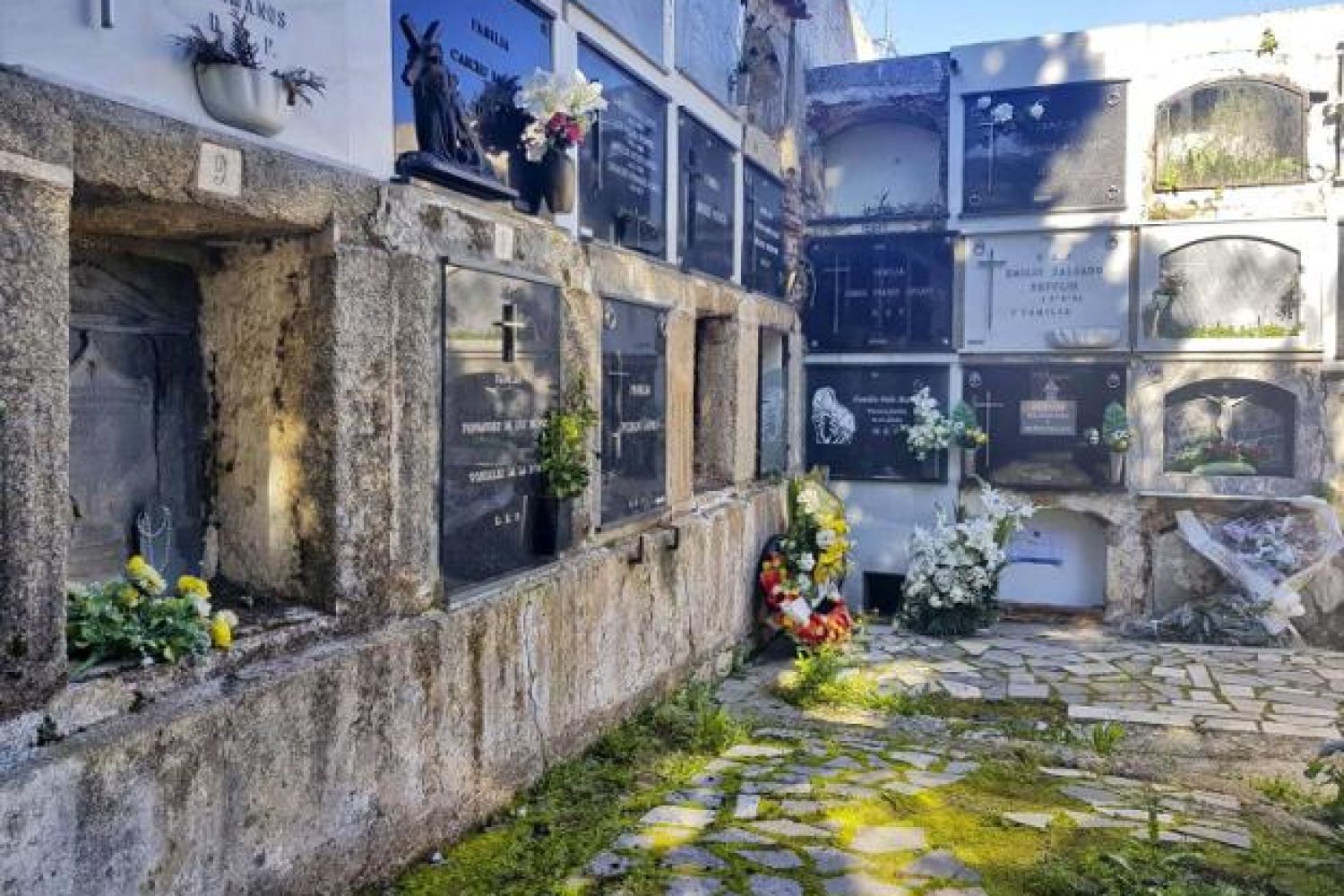 cementerio municipal