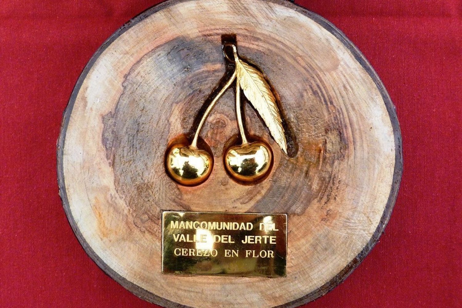 cerezas-de-oro-valle-jerte