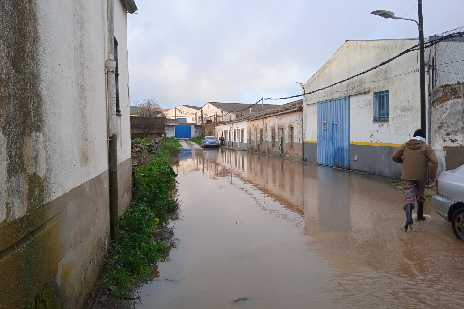 charca musia inundada