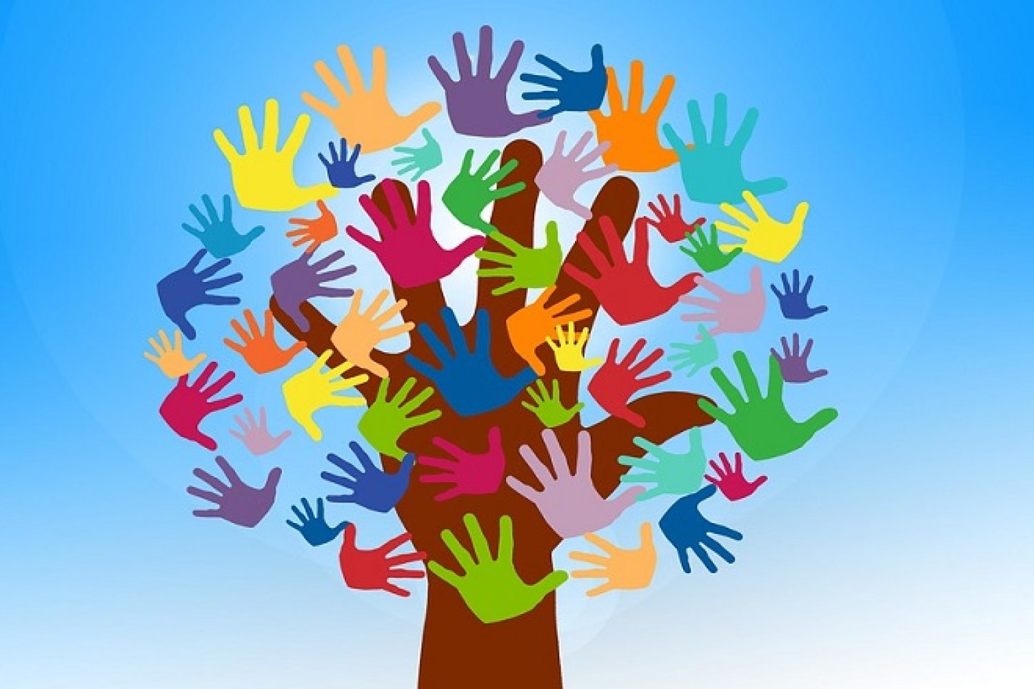 cooperacion