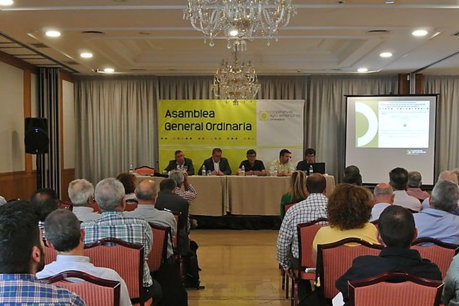 cooperativas